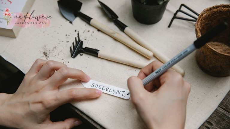 Last Name คืออะไร? ความหมายและวิธีใช้ในภาษาอังกฤษที่คุณควรรู้