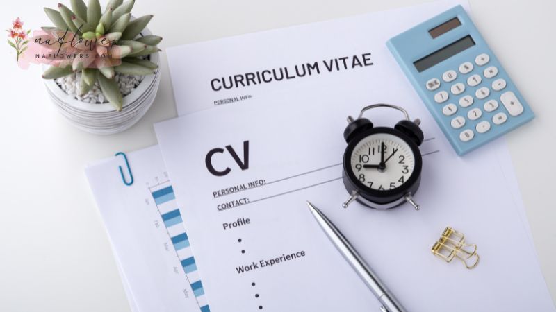 CV คืออะไร