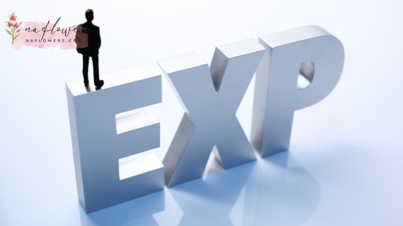 EXP คืออะไร