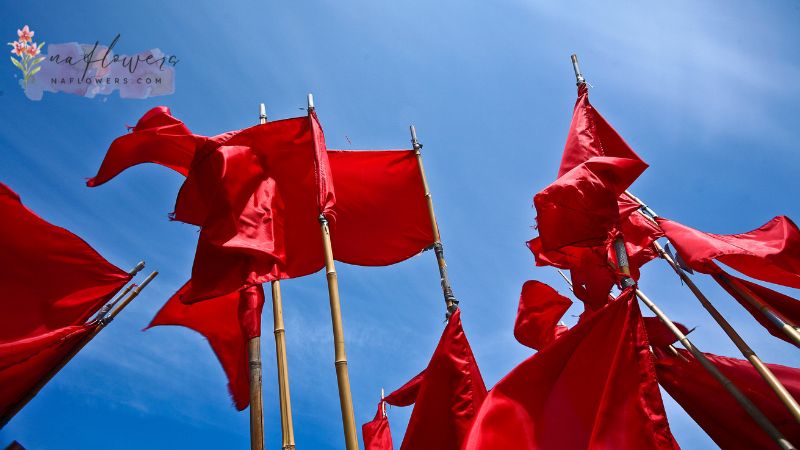 Red Flag ในบริบทของสภาพอากาศและไฟป่า