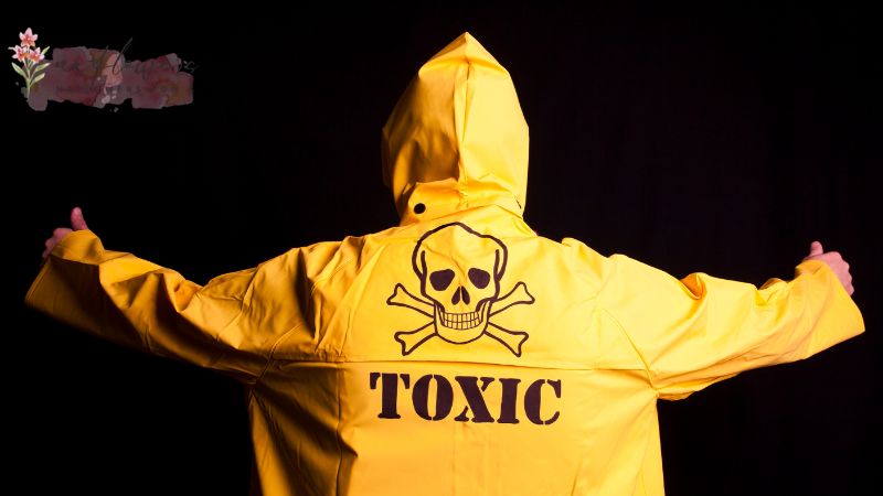 Toxic ในความสัมพันธ์ (Toxic Relationship)