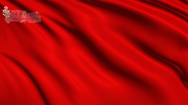 ความหมายของ Red Flag