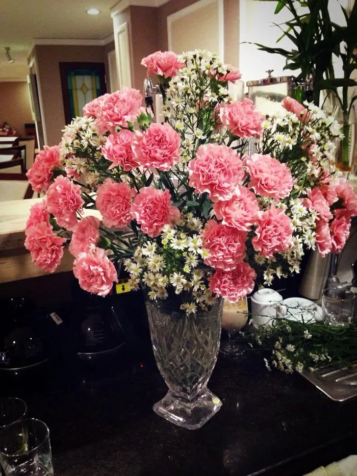 ดอกคาร์เนชั่น (4)