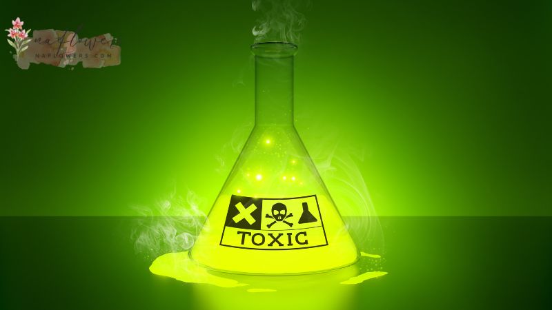 ตัวอย่างของพฤติกรรม Toxic