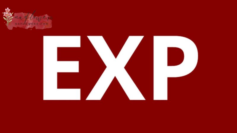 วิธีเก็บ EXP ในเกมให้เร็วขึ้น