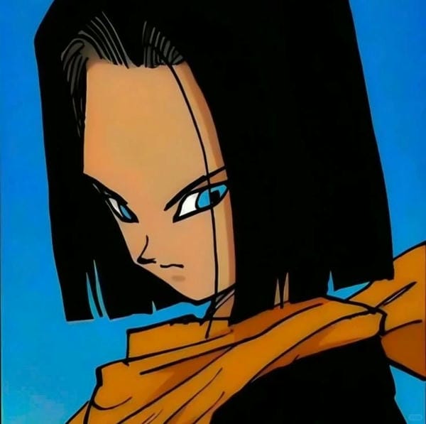 Android 17 (30)
