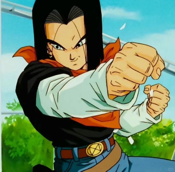 Android 17 (31)