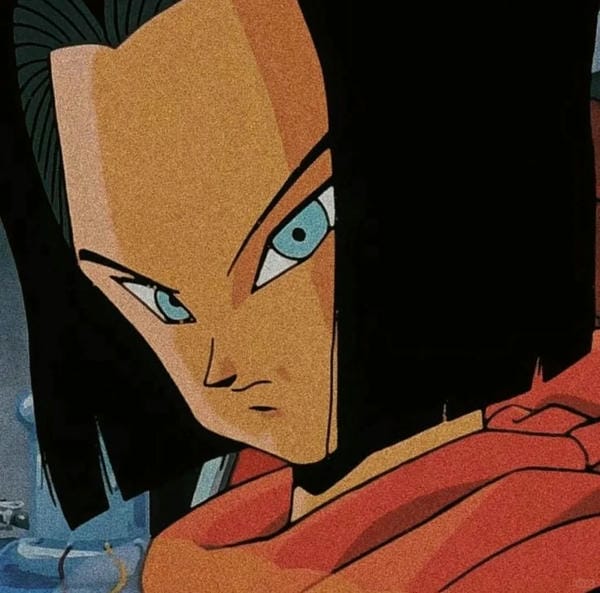 Android 17 (32)