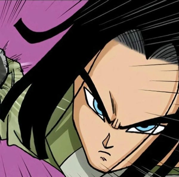 Android 17 (33)