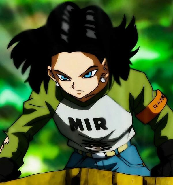 Android 17 (34)