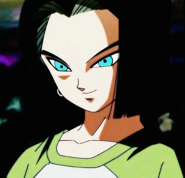 Android 17 (35)