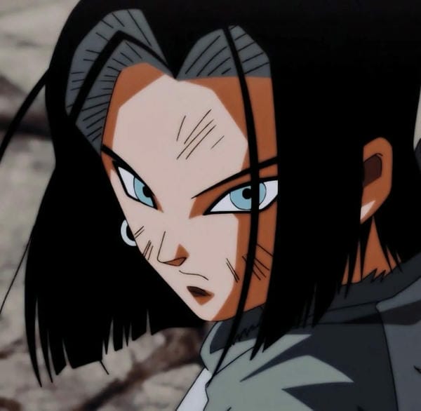 Android 17 (38)