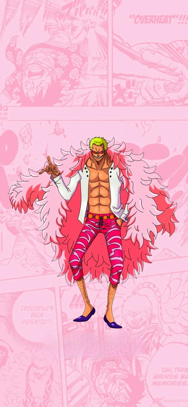 Donquixote Doflamingo (10)