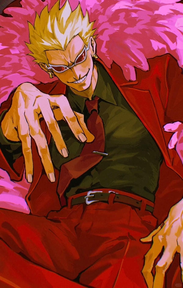 Donquixote Doflamingo (13)