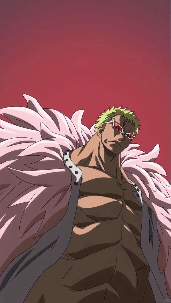Donquixote Doflamingo (33)