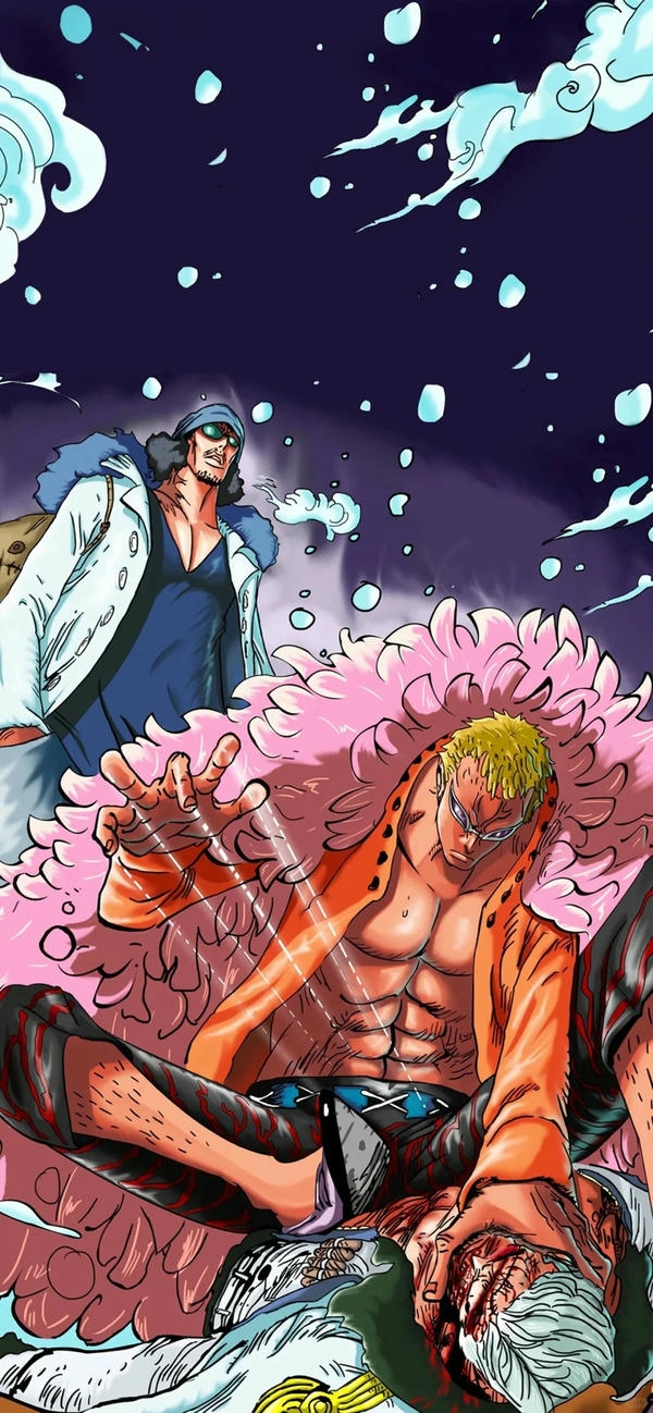 Donquixote Doflamingo (8)