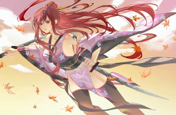 Erza Scarlet (3)