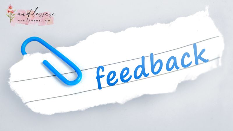 Feedback คืออะไร?