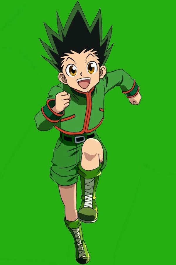 Gon Freecss (10)