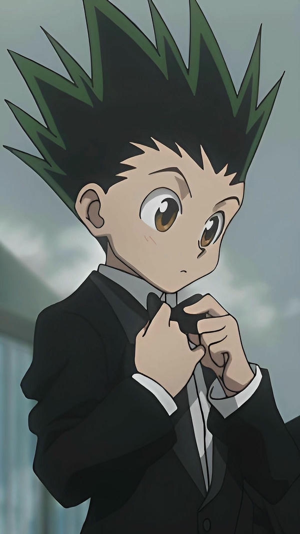 Gon Freecss (30)