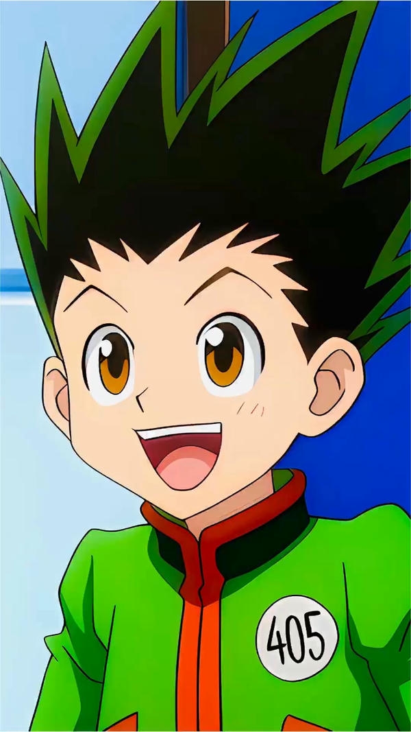 Gon Freecss (33)