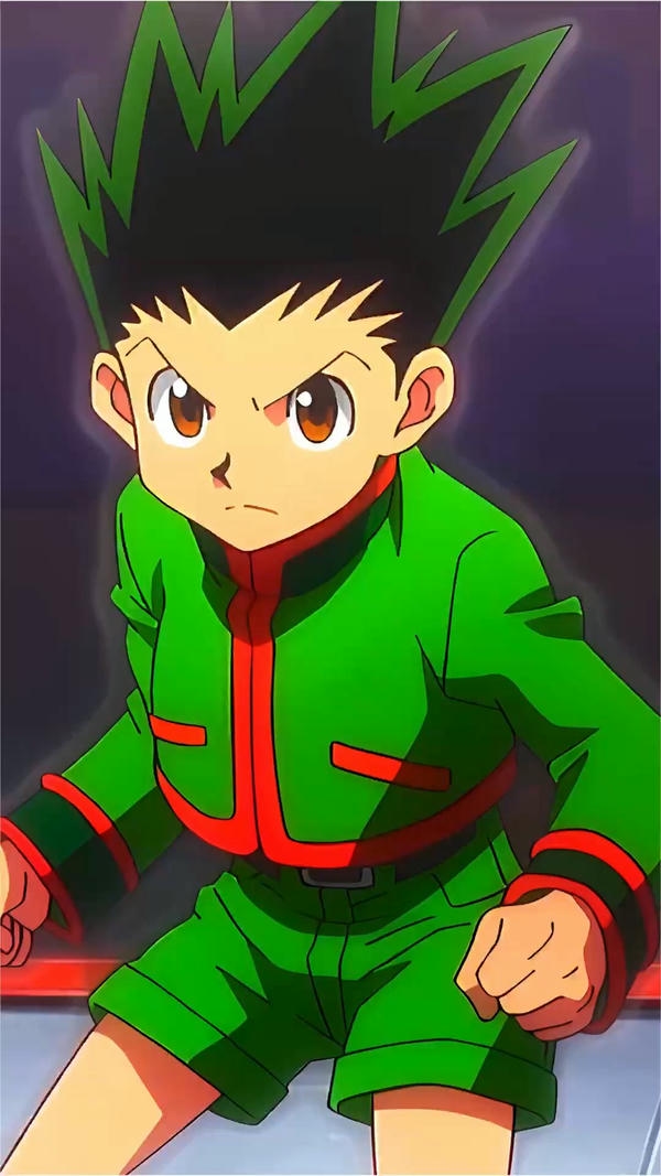 Gon Freecss (8)