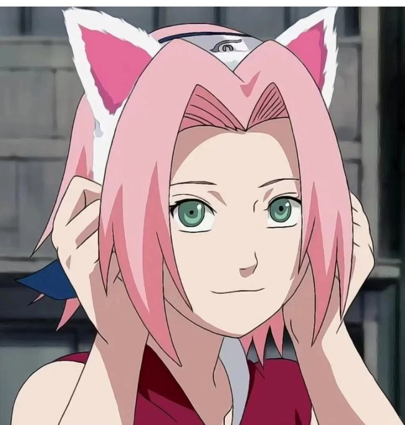 Haruno Sakura (23)