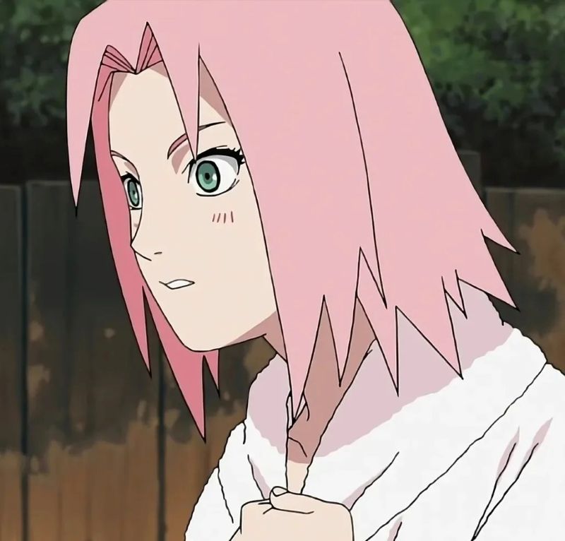 Haruno Sakura (8)
