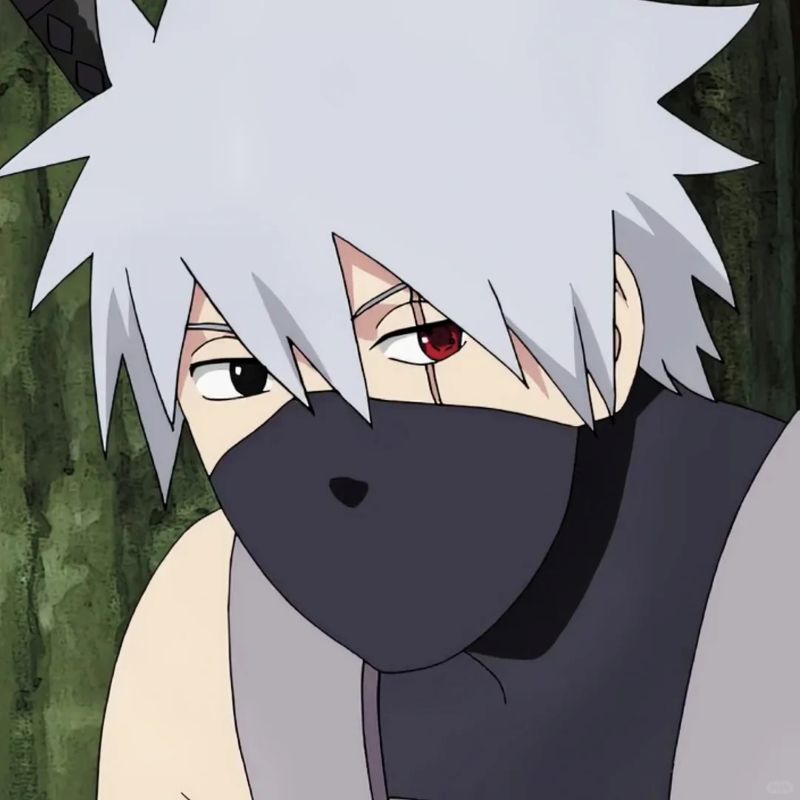 Hatake Kakashi (11)