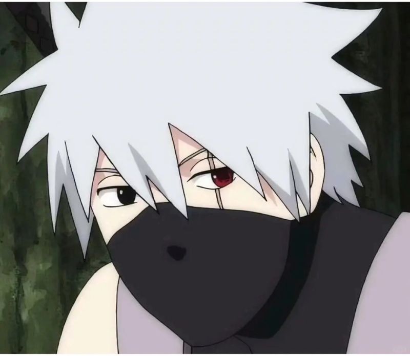 Hatake Kakashi (6)
