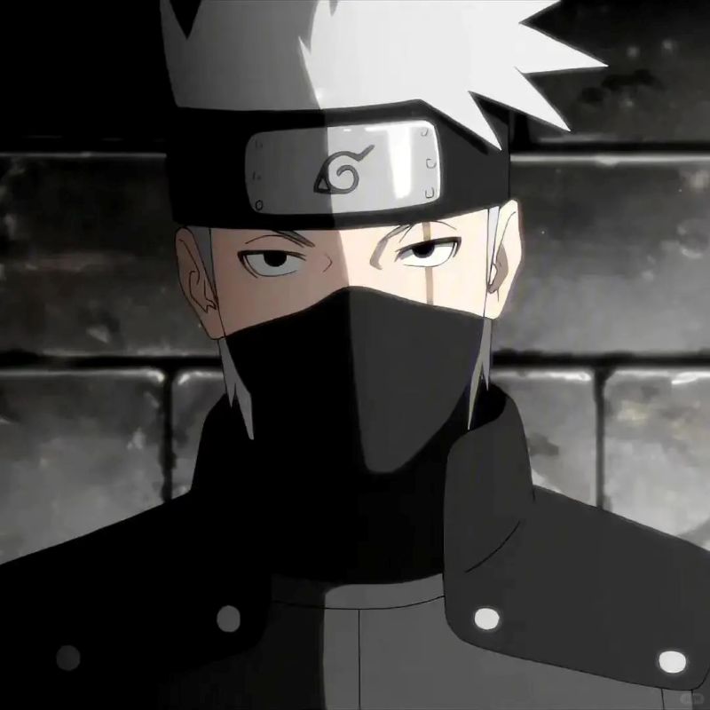Hatake Kakashi (8)