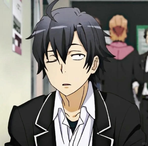 Hikigaya Hachiman (28)