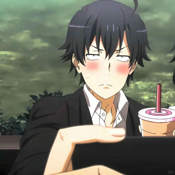 Hikigaya Hachiman (31)