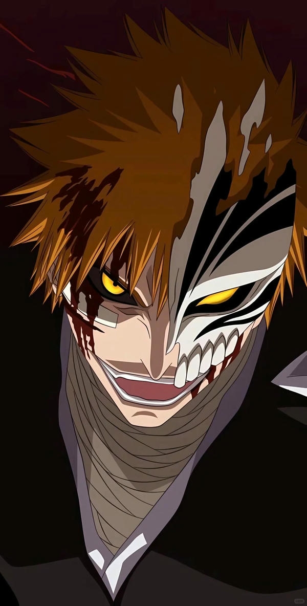 Ichigo Kurosaki (28)