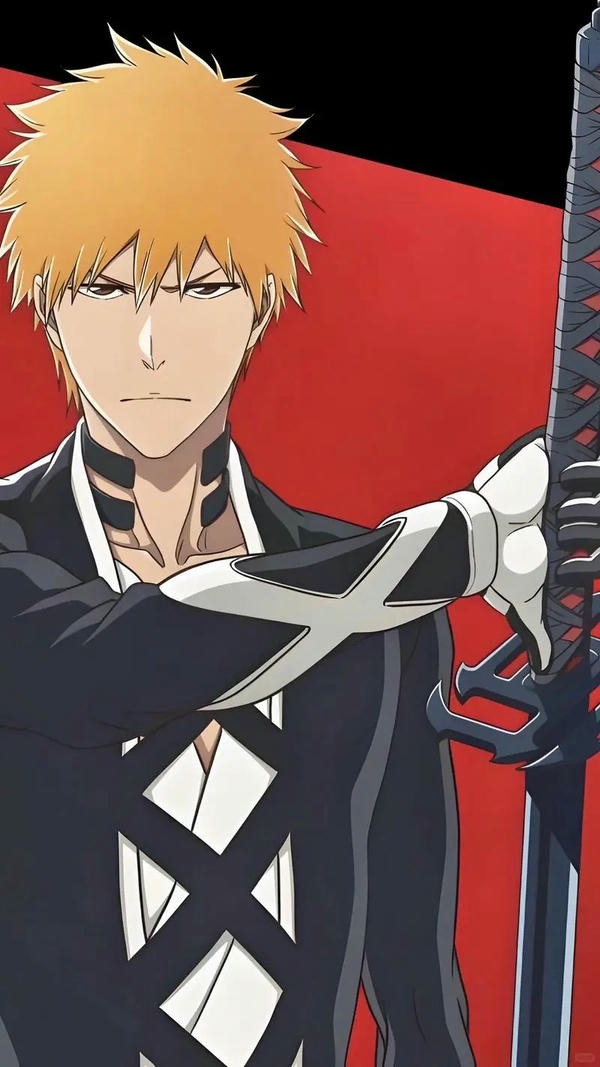 Ichigo Kurosaki (35)