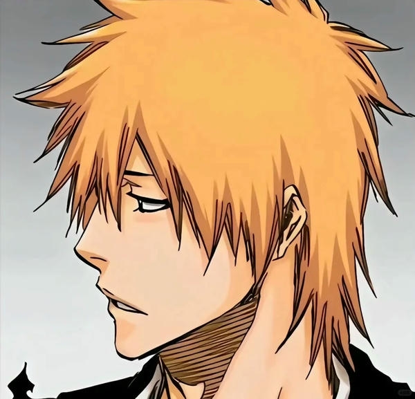 Ichigo Kurosaki (39)