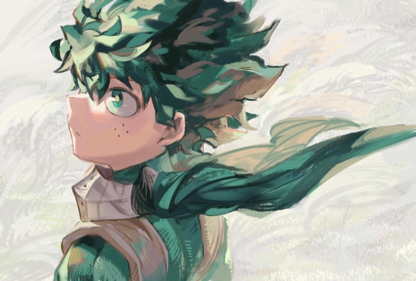 Izuku Midoriya (15)