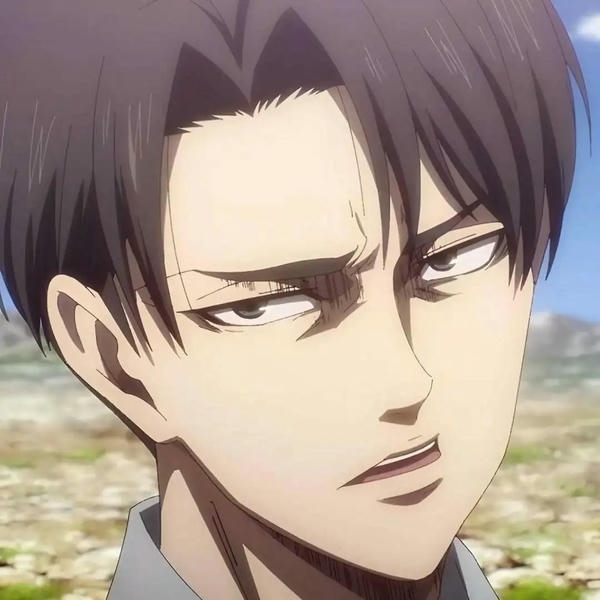 Levi Ackerman (10)