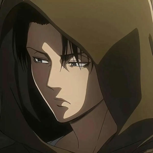 Levi Ackerman (11)