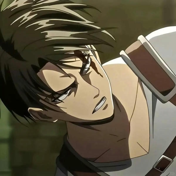 Levi Ackerman (12)