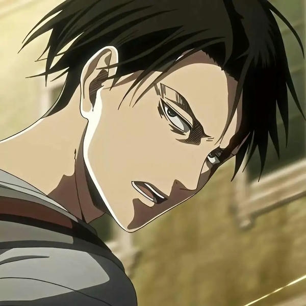 Levi Ackerman (13)