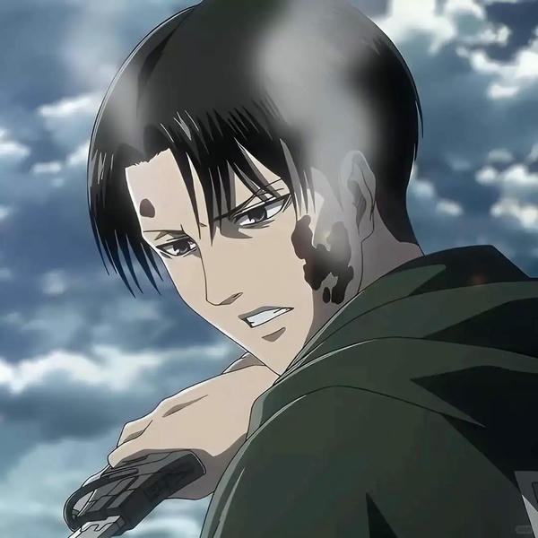 Levi Ackerman (14)