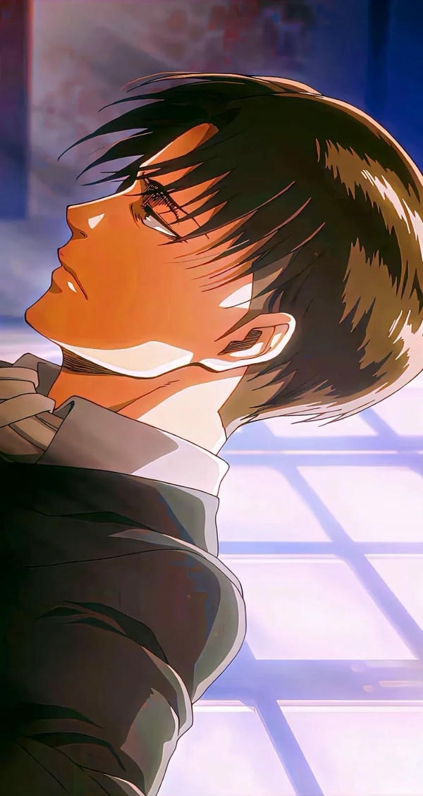 Levi Ackerman (16)