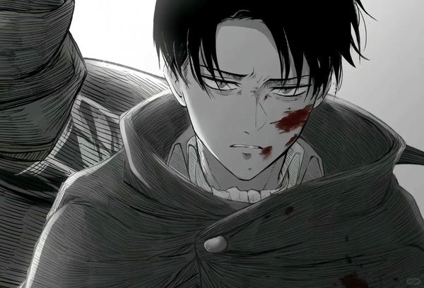 Levi Ackerman (19)