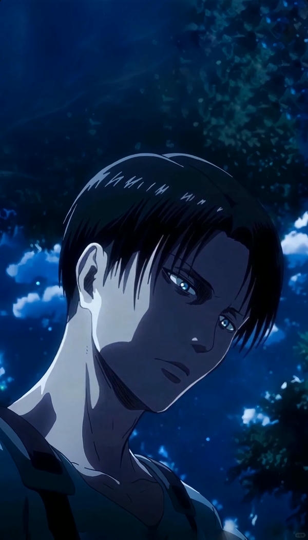 Levi Ackerman (23)