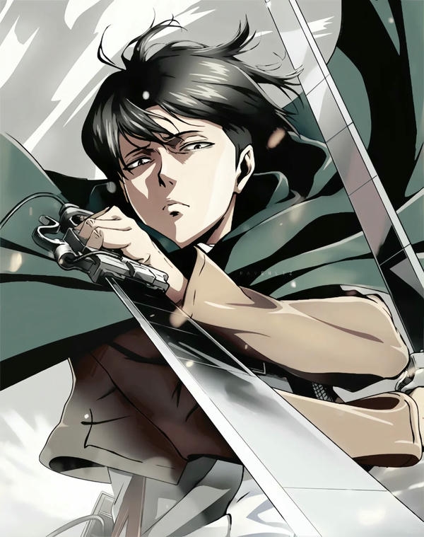 Levi Ackerman (24)