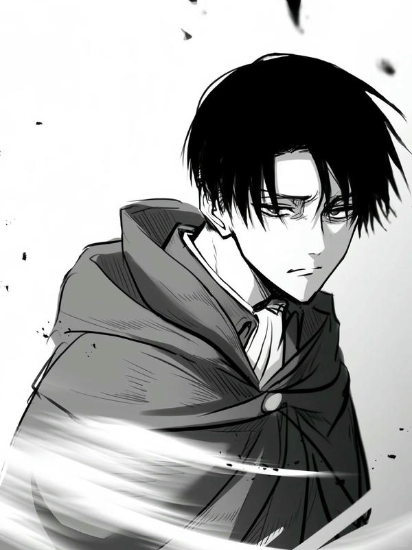 Levi Ackerman (25)