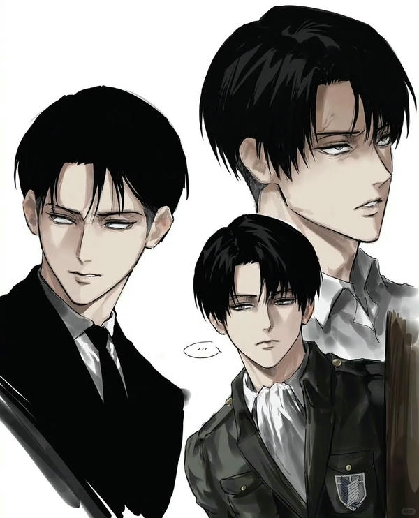 Levi Ackerman (27)
