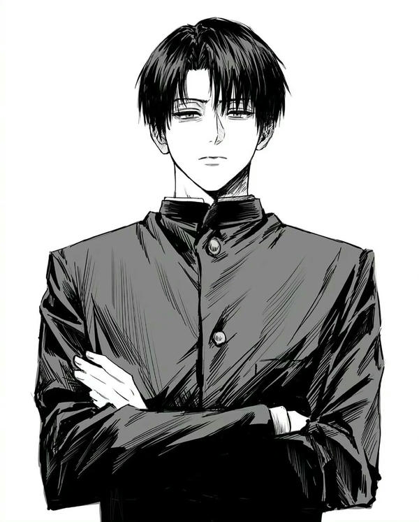 Levi Ackerman (28)