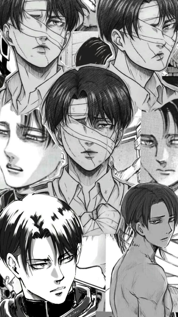 Levi Ackerman (29)